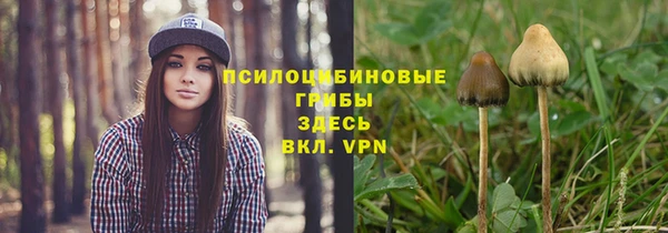 первитин Арсеньев