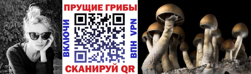 цены   Иннополис  OMG ONION  Галлюциногенные грибы MAGIC MUSHROOMS 